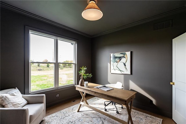 office area featuring crown molding and hardwood / wood-style floors