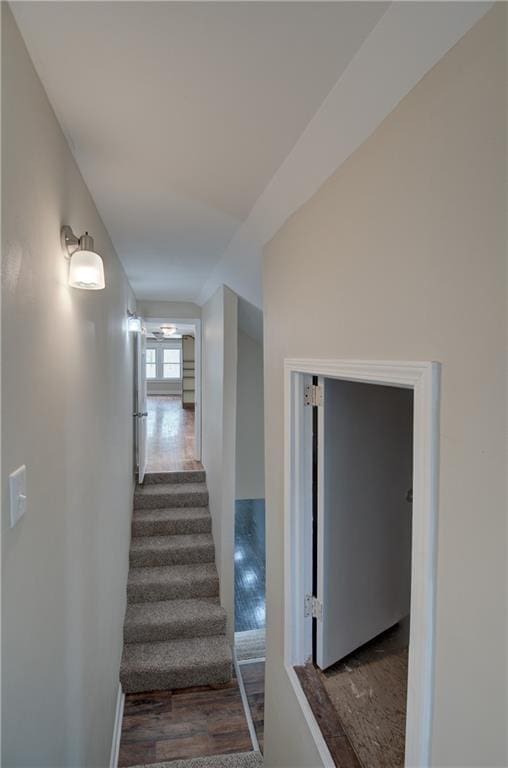 stairway with dark hardwood / wood-style flooring