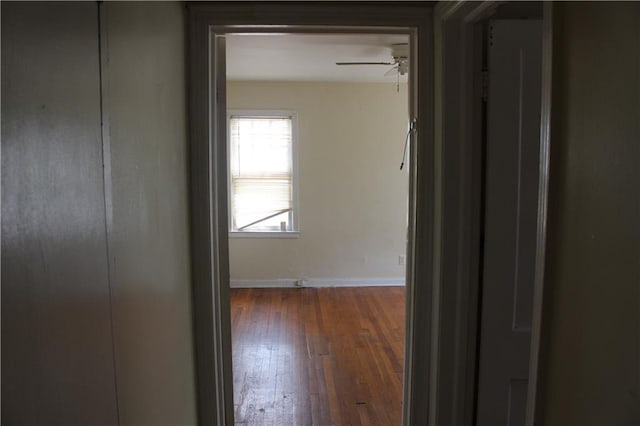 corridor with dark hardwood / wood-style floors