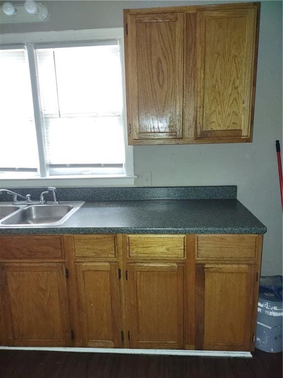 kitchen with dark hardwood / wood-style flooring and sink