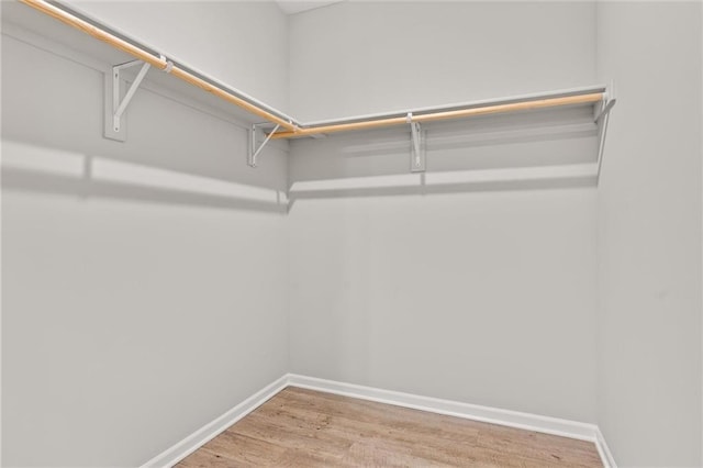 spacious closet with hardwood / wood-style floors