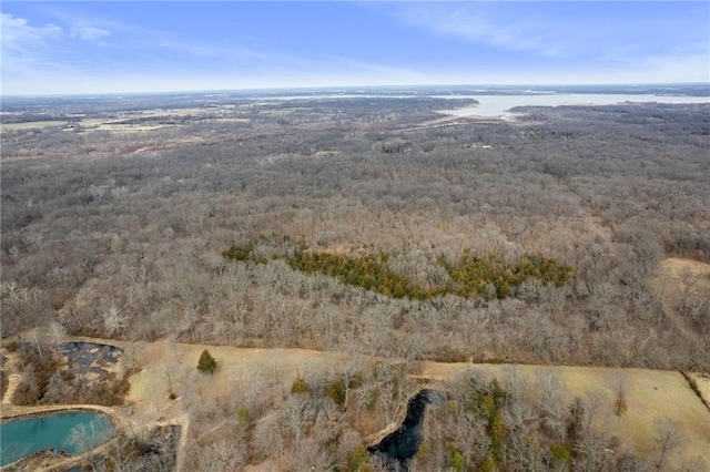 TBD SE 900th Rd, Deepwater MO, 64740 land for sale