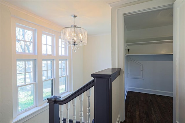 hallway featuring ornamental molding, dark wood-type flooring, and an inviting chandelier