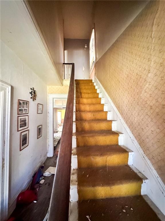 stairs with a towering ceiling