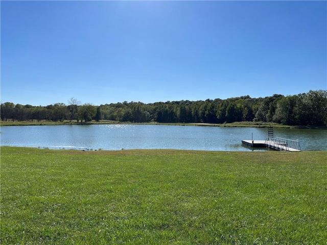 15523A W 303rd St, Paola, KS 66071 - exterior space with a dock