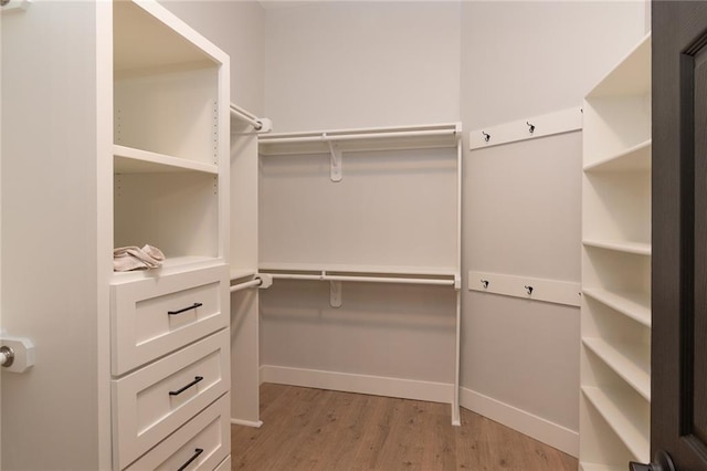 149 S Linn Valley Dr, Linn Valley, KS 66040 - walk in closet featuring light wood finished floors