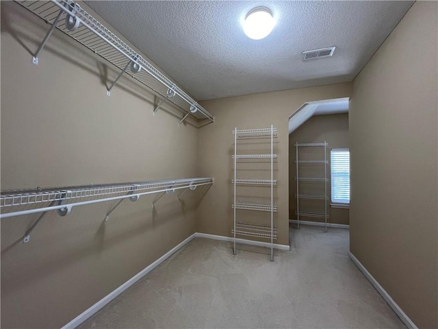 spacious closet featuring light colored carpet