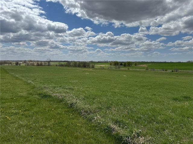 view of local wilderness with a rural view