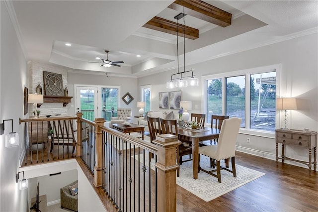 dining area with ornamental molding, dark hardwood / wood-style floors, a raised ceiling, and ceiling fan