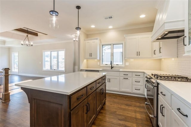 kitchen with custom exhaust hood, a healthy amount of sunlight, gas range, and dark hardwood / wood-style flooring