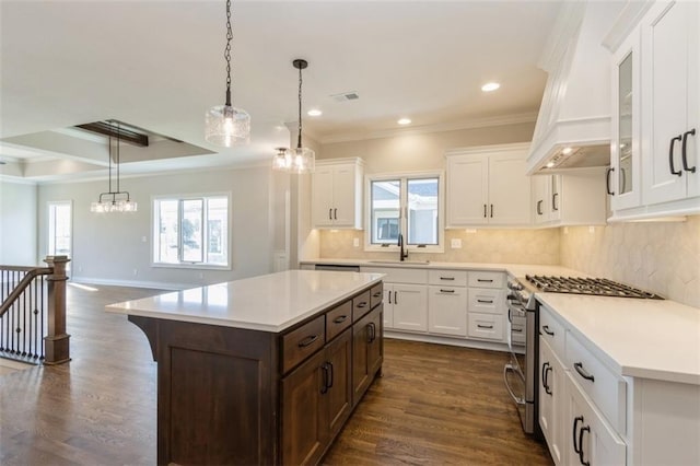 kitchen with dark hardwood / wood-style floors, a healthy amount of sunlight, stainless steel stove, and a kitchen island