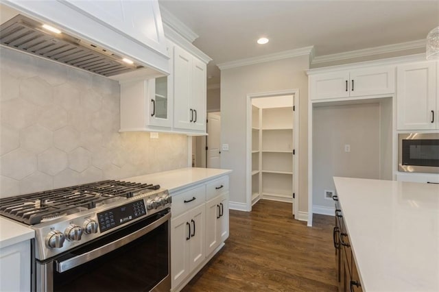 kitchen with custom range hood, appliances with stainless steel finishes, dark wood-type flooring, and white cabinets