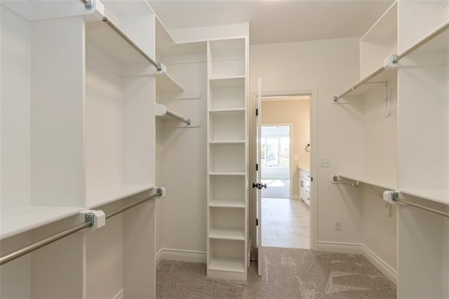 walk in closet with light colored carpet