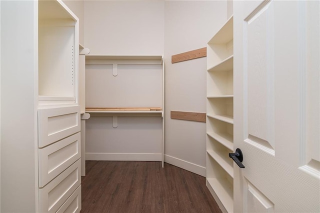 spacious closet featuring dark wood-style flooring