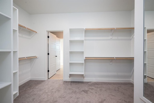 spacious closet with carpet