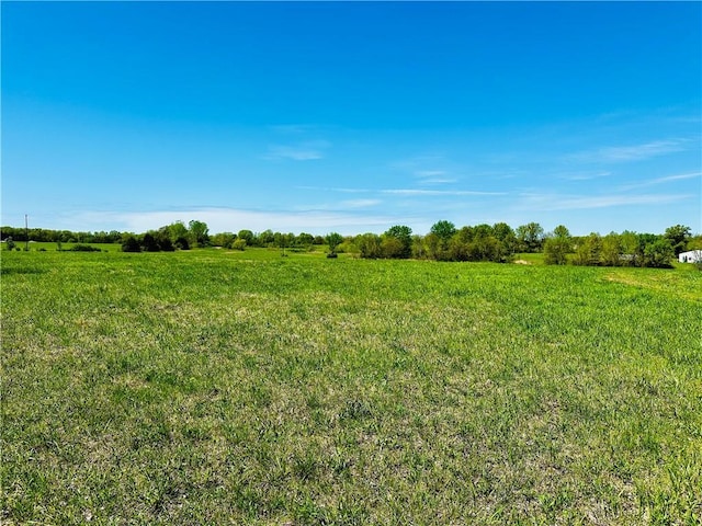 view of local wilderness with a rural view