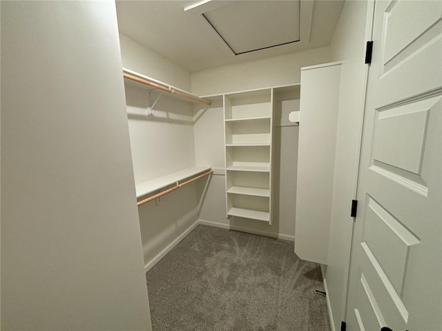 spacious closet featuring dark carpet