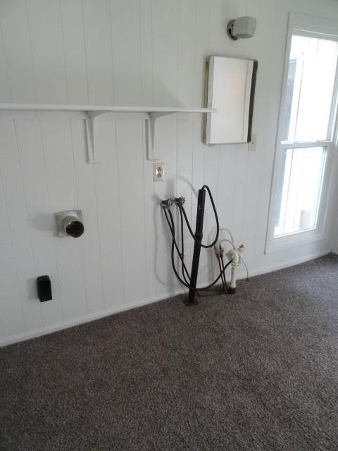 laundry room featuring carpet flooring and a healthy amount of sunlight