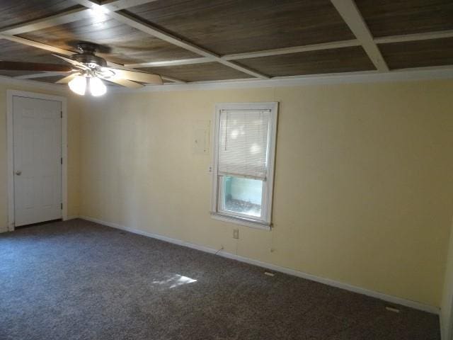 unfurnished room with ceiling fan and carpet flooring