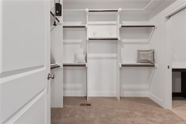 spacious closet featuring light carpet