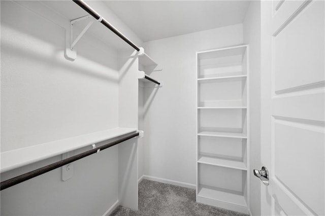 walk in closet featuring light carpet