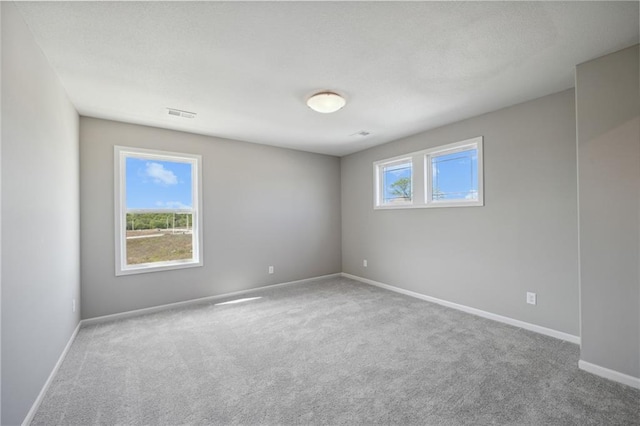 carpeted spare room featuring a wealth of natural light