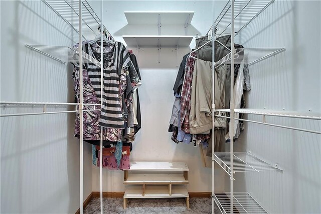 view of walk in closet