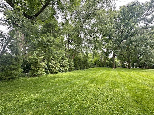 3700 W 65th St, Mission Hills, KS 66208 - view of green lawn