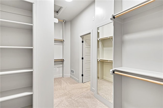 spacious closet with light carpet