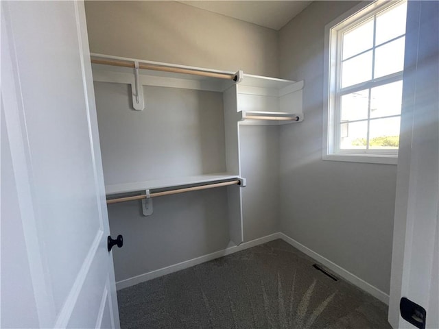 spacious closet with carpet