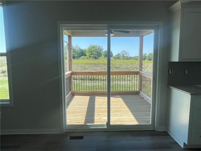 entryway with dark wood-type flooring and a wealth of natural light