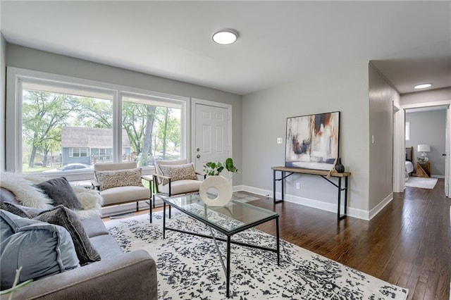 living room featuring dark wood-type flooring