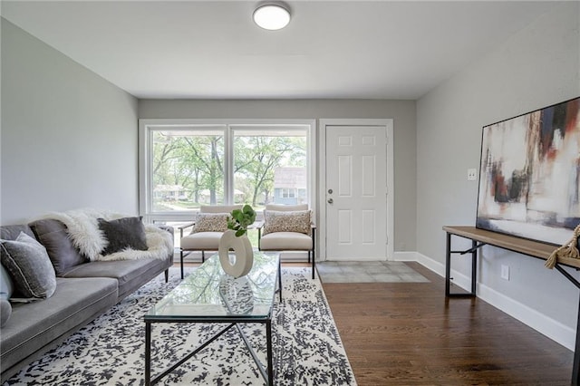 living room featuring dark hardwood / wood-style flooring