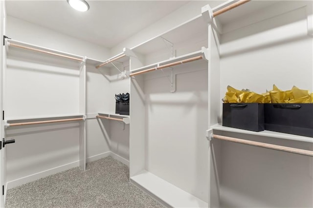 walk in closet with carpet