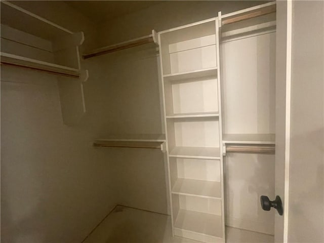 view of walk in closet