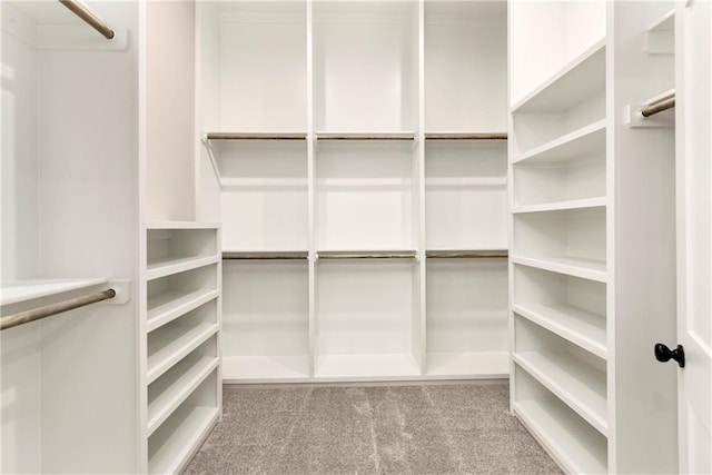 walk in closet featuring carpet floors