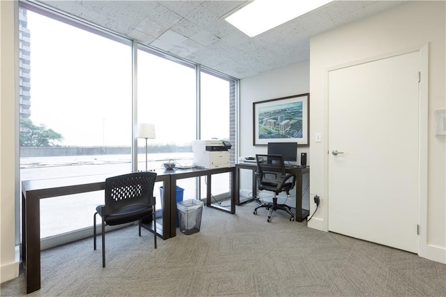 carpeted office space with a wall of windows