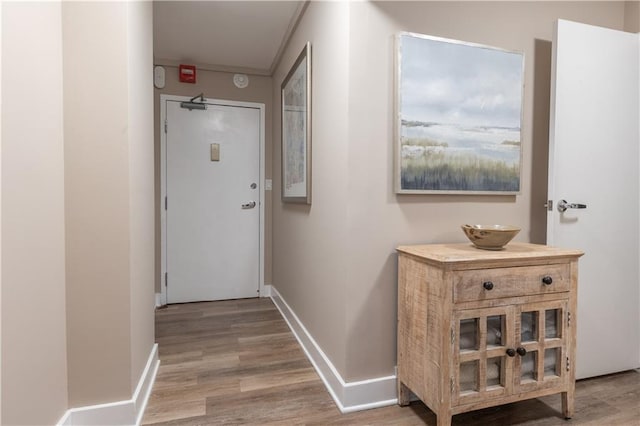 hall with hardwood / wood-style floors