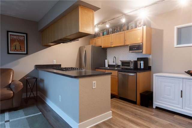 kitchen featuring light hardwood / wood-style flooring, rail lighting, kitchen peninsula, stainless steel appliances, and tasteful backsplash