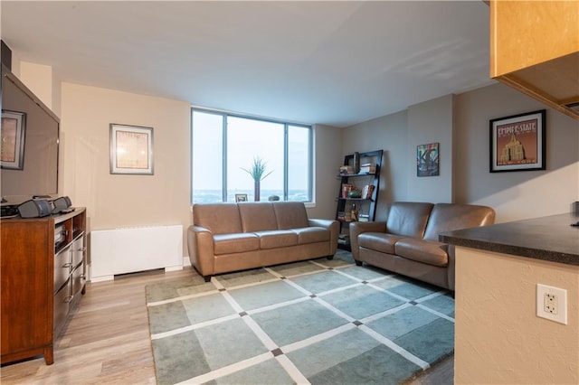 living room featuring light wood-type flooring