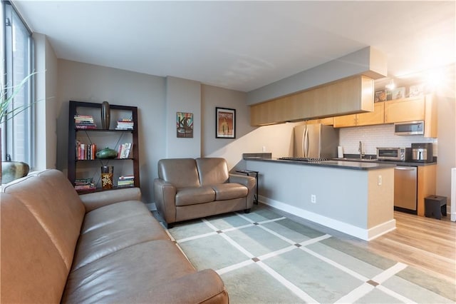 living room featuring light hardwood / wood-style floors