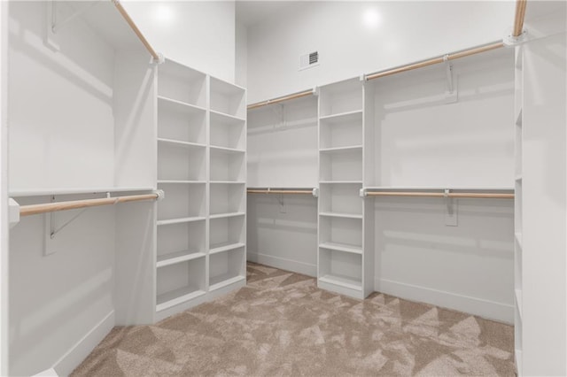 walk in closet with light colored carpet