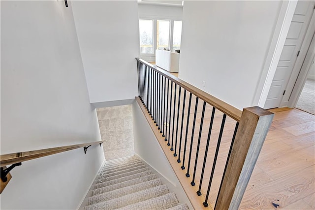 staircase with wood-type flooring