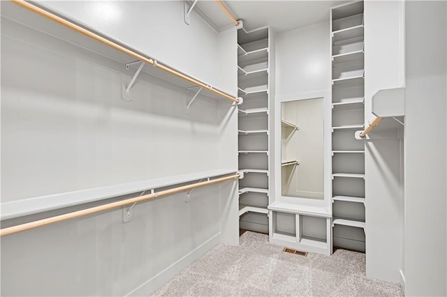 22051 W 100th Ter, Lenexa, KS 66220 - spacious closet with carpet floors