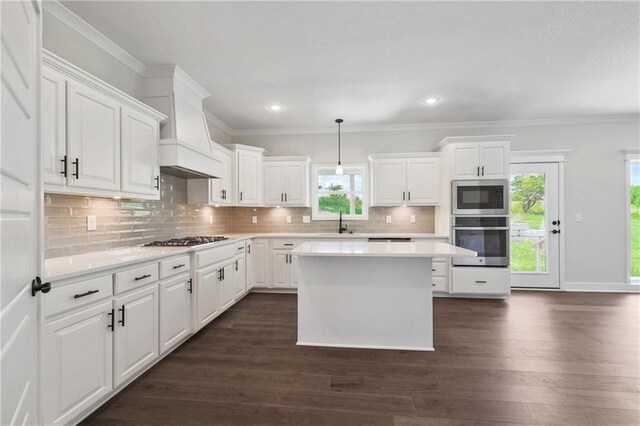 kitchen featuring custom exhaust hood, tasteful backsplash, dark wood-type flooring, and stainless steel appliances