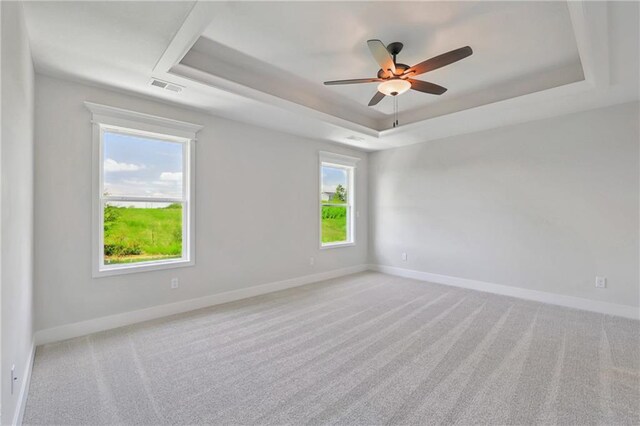 carpeted empty room with a wealth of natural light and a tray ceiling