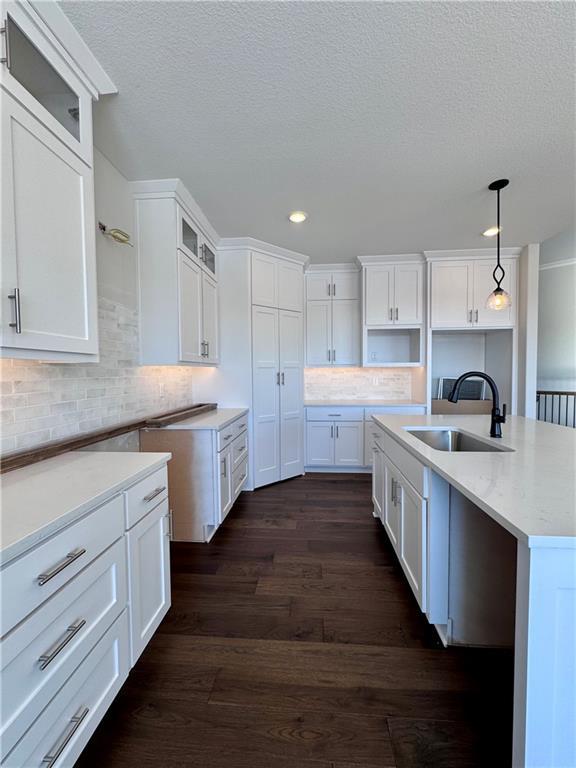 kitchen featuring a sink, tasteful backsplash, dark wood finished floors, white cabinets, and glass insert cabinets