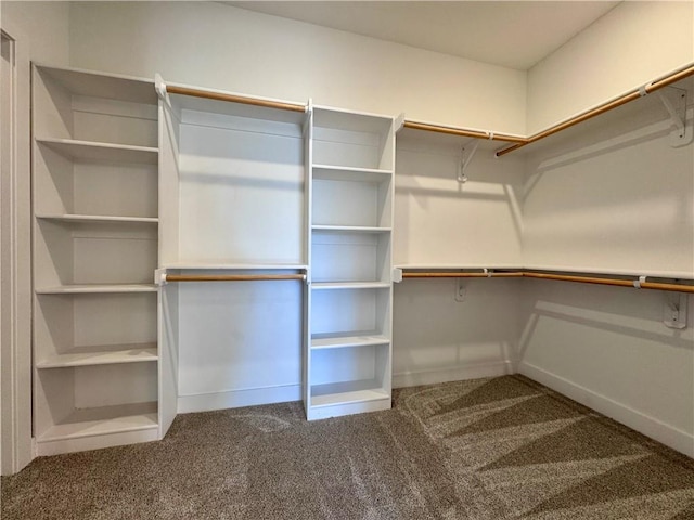 walk in closet with carpet