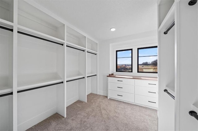 walk in closet with light carpet