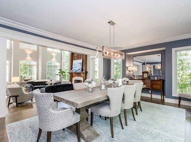 dining room featuring ornamental molding, plenty of natural light, and hardwood / wood-style floors